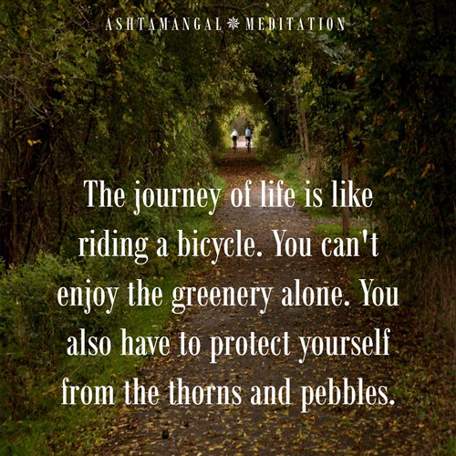 Life Quote on Journey